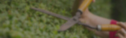 On the Greener Side of the Fence